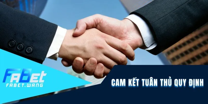 Cam kết tuân thủ quy định